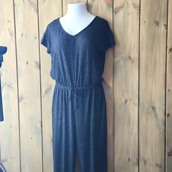 Serra  Jumpsuit Flowy Rayon Charcoal Grey, Large, NWOT - Picture 1 of 9